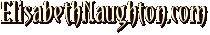 elisabethnaughton.com